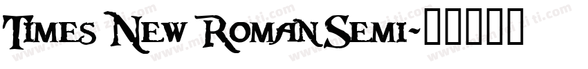 Times New Roman Semi字体转换